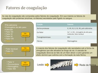 Fatores de coagulação
•Pré-calicreína
•Cininogênio de alto peso
molecular
• Fator XII
• Fator XI
• Fator IX
• Fator VIII
• Fator X
• Fator tecidual
• Fator VII
• Fator X
• Fator V
• Pró-trombina
• Fibrinogênio
• Fator XIII
Via
intrínsica
Via
extrínsica
Via
comum Lesão Rede de fibrina
A maioria dos fatores de coagulação são secretados sob a forma de
zimogênios que são ativados ao longo da via. A cascata de
coagulação deve-se ao fato de um fator ativar o outro gerando um
efeito dominó que culmina com a formação da rede fibrina.
Função Fatores
Serina-protease II, VII, IX, X, XI, XII, pré-calicreína
Co-fator Ca2+
, V, VIII, cininogênio de alto peso
molecular, fator tecidual
Transglutaminase XIII
Fibrina Fibrinogênio
As vias de coagulação são compostas pelos fatores de coagulação. Em sua maioria os fatores de
coagulação são proteínas (enzimas, co-fatores) secretados pelo fígado no sangue.
 