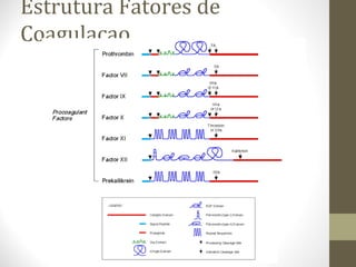 Estrutura Fatores de
Coagulacao.
 