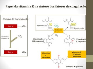 Papel da vitamina K na síntese dos fatores de coagulação.
Resíduo Glu
Resíduo Gla
Vitamina K
2,3 epóxido
Vitamina K
hidroquinona
Vitamina K
Epóxido
Redutase
Vitamina
K
Redutase
Fator Gla
Fator Glu CO2
CO2
Reação de Carboxilação
Co-enzima:
Vitamina K
Vitamina K quinona
Carboxilas
e
O2
 