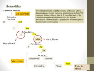 Hemofilia
XII
IX
XI
X
Protrombina
XIIa
XIa
IXa
Xa
Via intrínsica
Superfície aniônica
Cininogênio
Calicreína
Fibrinogênio Fibrina
Trombina
Rede de
fibrina
Via comum
VIIIa
Va
XIIIa
FL e Ca2+
FL e Ca2+
FL e Ca2+
A hemofilia consiste na deficiência da síntese de fatores
da coagulação. A mais comum é a deficiência do fator VIII
chamada de hemofilia do tipo A. A hemofilia do tipo B é
caracterizada pela deficiência do fator IX. Ambas
deficiências são herdadas e apresentam diferentes graus
de distúrbios hemorrágicos.
Hemofilia B
Hemofilia A
 