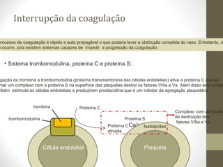 Interrupção da coagulação
processo de coagulação é rápido e auto propagável o que poderia levar a obstrução completa do vaso. Entretanto, is
o ocorre, pois existem sistemas capazes de impedir a progressão da coagulação.
• Sistema trombomodulina, proteína C e proteína S:
trombomodulina
Célula endotelial
trombina
Plaqueta
Proteína C
Proteína C
ativada
Proteína S
fosfolipídeoCa2+
igação da trombina a trombomodulina (proteína transmembrana das células endoteliais) ativa a proteína C que ao
mar um complexo com a proteína S na superfície das plaquetas destrói os fatores VIIIa e Va. Além disso este compl
mbém estimula as células endoteliais a produzirem prostaciclina que é um inibidor da agregação plaquetária.
Complexo com atividade
de destruição dos
fatores VIIIa e Va
 