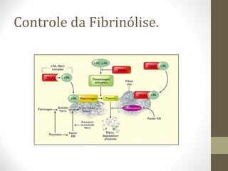 Controle da Fibrinólise.
 