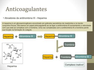 Anticoagulantes
Antitrombina III
A heparina é um glicosaminoglicano encontrado em grânulos secretórios de mastócitos e no tecido
conjuntivo frouxo. Ela exerce um papel anticoagulante ao se ligar a antitrombina III aumentando a velocidade
com que esta se complexa com a trombina. Uma vez complexada com a antitrombina III a trombina perde
sua função na formação do coágulo.
Heparina
+ Antitrombina IIIHeparina
Heparina
+ Trombina
Trombina
Antitrombina III
Heparina
Complexo inativo!
• Ativadores da antitrombina III - Heparina
 