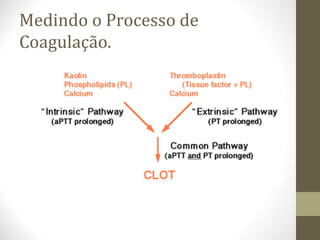 Medindo o Processo de
Coagulação.
 
