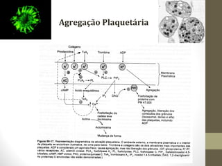 Agregação Plaquetária
 