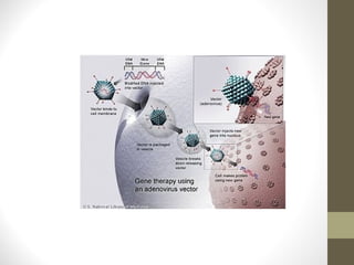 5 hemostasia e bioquimica do sistema circulatorio