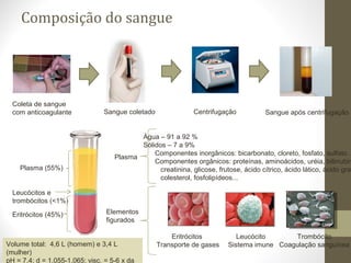 Composição do sangue
Elementos
figurados
Coleta de sangue
com anticoagulante Sangue coletado Centrifugação Sangue após centrifugação
Plasma (55%)
Leucócitos e
trombócitos (<1%)
Eritrócitos (45%)
Plasma
Eritrócitos
Transporte de gases
Trombócito
Coagulação sanguínea
Leucócito
Sistema imune
Água – 91 a 92 %
Sólidos – 7 a 9%
Componentes inorgânicos: bicarbonato, cloreto, fosfato, sulfato...
Componentes orgânicos: proteínas, aminoácidos, uréia, bilirrubin
creatinina, glicose, frutose, ácido cítrico, ácido lático, ácido grax
colesterol, fosfolipídeos...
Volume total: 4,6 L (homem) e 3,4 L
(mulher)
pH = 7,4; d = 1,055-1,065; visc. = 5-6 x da
 
