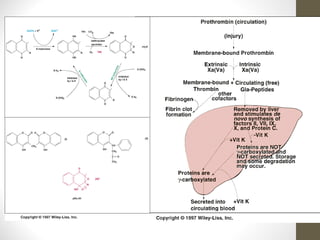 5 hemostasia e bioquimica do sistema circulatorio