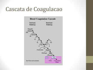 Cascata de Coagulacao
 