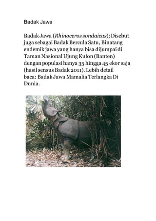 Badak Jawa
BadakJawa (Rhinoceros sondaicus);Disebut
juga sebagai BadakBercula Satu, Binatang
endemik jawa yang hanya bisa dijumpai di
Taman Nasional Ujung Kulon(Banten)
dengan populasi hanya 35 hingga 45 ekor saja
(hasil sensus Badak 2011). Lebih detail
baca: BadakJawa Mamalia Terlangka Di
Dunia.
 