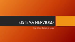 SISTEMA NERVIOSO
Dra. Selene Castañeda Loeza
 
