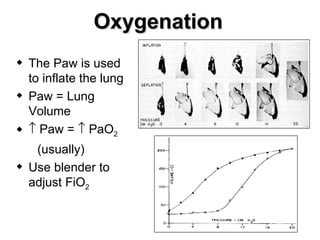 Oxygenation The Paw is used to inflate the lung Paw = Lung Volume    Paw =    PaO 2 (usually) Use blender to adjust FiO 2 