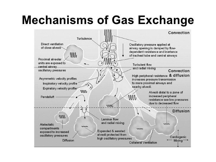 5 High Frequency Oscillatory Ventilation