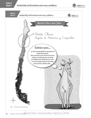 UnidadChile,fértilterritorioentremarycordilleras
44 5º Básico, Primer Semestre
Ficha 4
Clase 4
Derechos reservados Aptus Chile
 