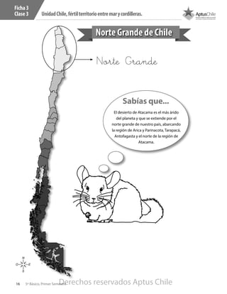 16 5º Básico, Primer Semestre
UnidadChile,fértilterritorioentremarycordilleras.
Ficha 3
Clase 3
Norte Grande de Chile
N
S
O E
Norte Grande
Sabías que...
El desierto de Atacama es el más árido
del planeta y que se extiende por el
norte grande de nuestro país, abarcando
la región de Arica y Parinacota, Tarapacá,
Antofagasta y el norte de la región de
Atacama.
Derechos reservados Aptus Chile
 