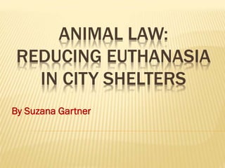 ANIMAL LAW:
REDUCING EUTHANASIA
IN CITY SHELTERS
By Suzana Gartner
 