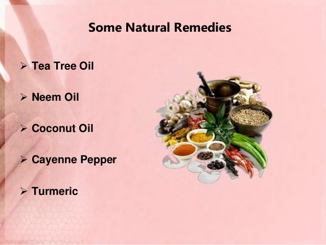 Natural Scabies Treatment Tea Tree Oil Natural Scabies Treatment Tea Tree Oil