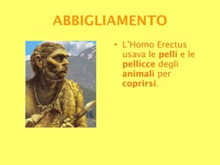 L’Homo Erectus usava le  pelli  e le  pellicce  degli  animali  per  coprirsi . ABBIGLIAMENTO 