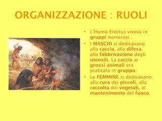 L’Homo Erectus viveva in  gruppi  numerosi . I  MASCHI  si dedicavano alla  caccia , alla  difesa , alla  fabbricazione  degli  utensili . La  caccia  ai  grossi animali  era praticata in  gruppo . Le  FEMMINE  si dedicavano alla  cura  dei  piccoli , alla  raccolta  dei  vegetali , al  mantenimento  del  fuoco . ORGANIZZAZIONE  :  RUOLI 