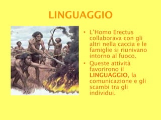 L’Homo Erectus collaborava con gli altri nella caccia e le famiglie si riunivano intorno al fuoco.  Queste attività favorirono il  LINGUAGGIO , la comunicazione e gli scambi tra gli individui. LINGUAGGIO 