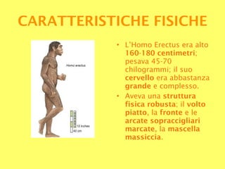 L’Homo Erectus era alto  160 - 180   centimetri ; pesava 45-70 chilogrammi; il suo  cervello  era abbastanza  grande  e complesso.  Aveva una  struttura fisica robusta ; il  volto piatto , la  fronte  e le  arcate sopraccigliari marcate , la  mascella massiccia . CARATTERISTICHE   FISICHE 