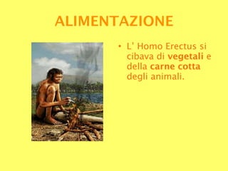 L’ Homo Erectus si cibava di  vegetali  e della  carne cotta  degli animali. ALIMENTAZIONE 