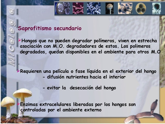 Aprender cómo curé mi metabolismo glucogeno