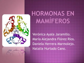 Verónica Ayala Jaramillo.
María Alejandra Flórez Ríos.
Daniela Herrera Marmolejo.
Natalia Hurtado Cano.
 
