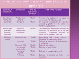 GLÁNDULA          HORMONA         TIPO DE            PRINCIPAL FUNCIÓN
ENDOCRINA                        SUSTANCIA
                                  QUIMICA

 Hipotálamo      Antidiurética    Péptido    Promueve la reabsorción de agua en
(Vía hipófisis      (ADH)                    los riñones (Pérdida de agua)
  posterior)      Oxitocina       Péptido    En mujeres, contracción de músculos
                                             uterinos y producción de leche. En
                                             hombres, eyaculación.
Hipotálamo          Hormonas      Péptido    Las hormonas liberadoras estimulan la
 (hacia la       liberadoras e               liberación de hormonas en la HA, las
 hipófisis         inhibidoras               hormonas inhibidoras impiden la
 anterior)                                   liberación de hormona de la HA.
  Hipófisis      Hormona FSH      Péptido    Maduración del folículo ovárico y
  anterior                                   formación de espermatozoides.
                 Hormona LH       Péptido    Estimula la secreción de testosterona y
                                             la ovulación.
                 Hormona TSH      Péptido    Estimula a la tiroides.
                 Hormona del      Péptido    Estimula el crecimiento.
                  crecimiento
                   Hormona        Péptido    Estimula la corteza suprarrenal.
                     ACTH
                   Prolactina     Péptido    Estimula la síntesis de leche y su
                                             secreción.
 