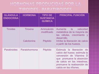 GLÁNDULA        HORMONA         TIPO DE        PRINCIPAL FUNCIÓN
ENDOCRINA                      SUSTANCIA
                                QUÍMICA


  Tiroides        Tiroxina     Aminoácido   Aumenta        la   velocidad
                               modificado   metabólica de la mayoría de
                                            las células, crecimiento y
                                            desarrollo.
                Calcitonina     Péptido     Inhibe la liberación de calcio
                                            a partir de los huesos.

Paratiroides   Paratohormona    Péptido     Estimula la liberación de
                                            calcio del hueso; estimula la
                                            conversión de Vitamina D
                                            que promueve la absorción
                                            de calcio en los intestinos;
                                            promueve la reabsorción de
                                            calcio en los riñones.
 