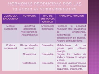 GLÁNDULA        HORMONA           TIPO DE      PRINCIPAL FUNCIÓN
ENDOCRINA                        SUSTANCIA
                                  QUIMICA
  Médula         Epinefrina      Aminoácido   Favorece la actividad
suprarrenal     (adrenalina)     modificado   muscular ante situaciones
              yNorepinefrina                  de            emergencia,
              (noradrenalina)                 aumentando              la
                                              concentración de glucosa.
                                              Acelera el metabolismo.
 Corteza      Glucocorticoides   Esteroidea   Metabolismo      de     las
suprarrenal      (cortisol)                   grasas    para     obtener
                                              energía.
                Aldosterona      Esteroidea   Regula los niveles de
                                              sodio y potasio en sangre
                                              y orina.
               Testosterona      Esteroidea   Ocasiona masculinización
                                              de las características
                                              corporales, crecimiento.
 