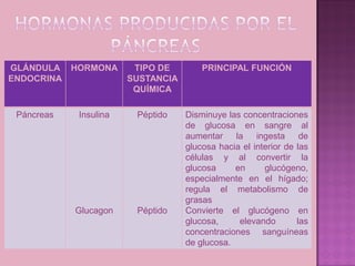 GLÁNDULA    HORMONA      TIPO DE        PRINCIPAL FUNCIÓN
ENDOCRINA               SUSTANCIA
                         QUÍMICA

 Páncreas    Insulina    Péptido    Disminuye las concentraciones
                                    de glucosa en sangre al
                                    aumentar la       ingesta de
                                    glucosa hacia el interior de las
                                    células y al convertir la
                                    glucosa     en      glucógeno,
                                    especialmente en el hígado;
                                    regula el metabolismo de
                                    grasas
            Glucagon     Péptido    Convierte el glucógeno en
                                    glucosa,     elevando        las
                                    concentraciones sanguíneas
                                    de glucosa.
 