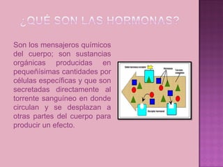 Son los mensajeros químicos
del cuerpo; son sustancias
orgánicas producidas en
pequeñísimas cantidades por
células específicas y que son
secretadas directamente al
torrente sanguíneo en donde
circulan y se desplazan a
otras partes del cuerpo para
producir un efecto.
 