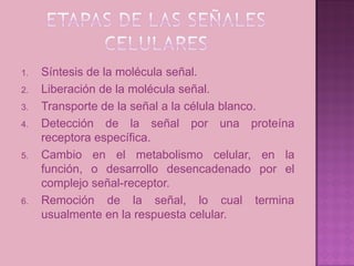 1.   Síntesis de la molécula señal.
2.   Liberación de la molécula señal.
3.   Transporte de la señal a la célula blanco.
4.   Detección de la señal por una proteína
     receptora específica.
5.   Cambio en el metabolismo celular, en la
     función, o desarrollo desencadenado por el
     complejo señal-receptor.
6.   Remoción de la señal, lo cual termina
     usualmente en la respuesta celular.
 