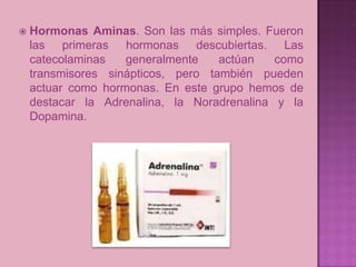    Hormonas Aminas. Son las más simples. Fueron
    las primeras hormonas descubiertas. Las
    catecolaminas   generalmente    actúan   como
    transmisores sinápticos, pero también pueden
    actuar como hormonas. En este grupo hemos de
    destacar la Adrenalina, la Noradrenalina y la
    Dopamina.
 