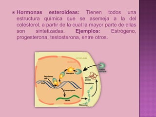    Hormonas esteroideas: Tienen todos una
    estructura química que se asemeja a la del
    colesterol, a partir de la cual la mayor parte de ellas
    son     sintetizadas.       Ejemplos:      Estrógeno,
    progesterona, testosterona, entre otros.
 