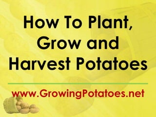 How To Plant,
   Grow and
Harvest Potatoes
www.GrowingPotatoes.net
 