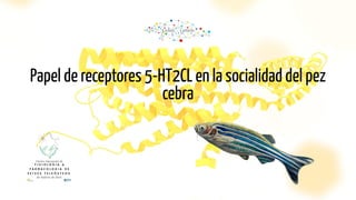 Papel de receptores 5-HT2CL en la socialidad del pez
cebra
 