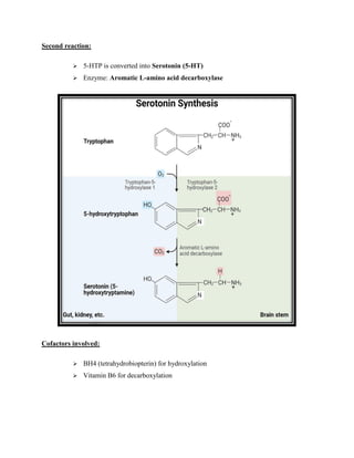 5 Htp Function Serotonin (5-HT): Functions, Receptors, and Pharmacology | PDF