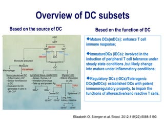 Overview of DC subsets
Based on the source of DC Based on the function of DC
Mature DCs(mDCs): enhance T cell
immune response;
ImmatureDCs (iDCs): involved in the
induction of peripheral T cell tolerance under
steady state conditions ,but likely change
into mature under inflammatory conditions;
Regulatory DCs (rDCs)/Tolerogenic
DCs(tolDCs): established DCs with potent
immunoregulatory property, to impair the
functions of alloreactive/xeno reactive T cells.
Elizabeth O. Stenger et al. Blood. 2012;119(22):5088-5103
 