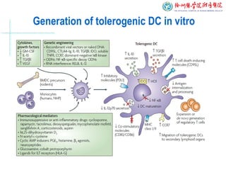 Generation of tolerogenic DC in vitro
 