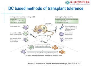 DC based methods of transplant tolerence
Adrian E. Morelli et al. Nature review immunology. 2007,7:610-321
 