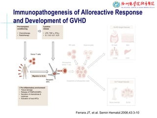 Ferrara JT, et al. Semin Hematol.2006,43:3-10
Immunopathogenesis of Alloreactive Response
and Development of GVHD
 