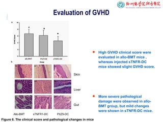 Evaluation of GVHD
 High GVHD clinical score were
evaluated in allo-BMT mice ,
whereas injected sTNFR-DC
mice showed slight GVHD score.
 More severe pathological
damage were observed in allo-
BMT group, but mild changes
were shown in sTNFR-DC mice.
Skin
Liver
Gut
Allo-BMT sTNFR1-DC PXZ9-DC
Figure 6. The clinical score and pathological changes in mice
 