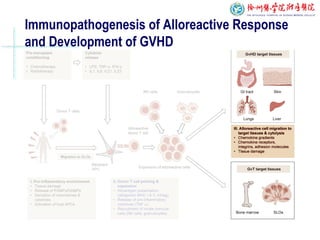 Immunopathogenesis of Alloreactive Response
and Development of GVHD
 