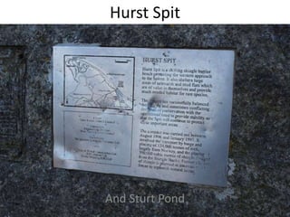 Hurst Spit
And Sturt Pond
 