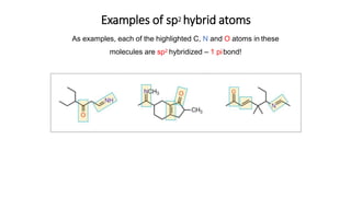 Hybridization Principles of Organic compounds | PPTX