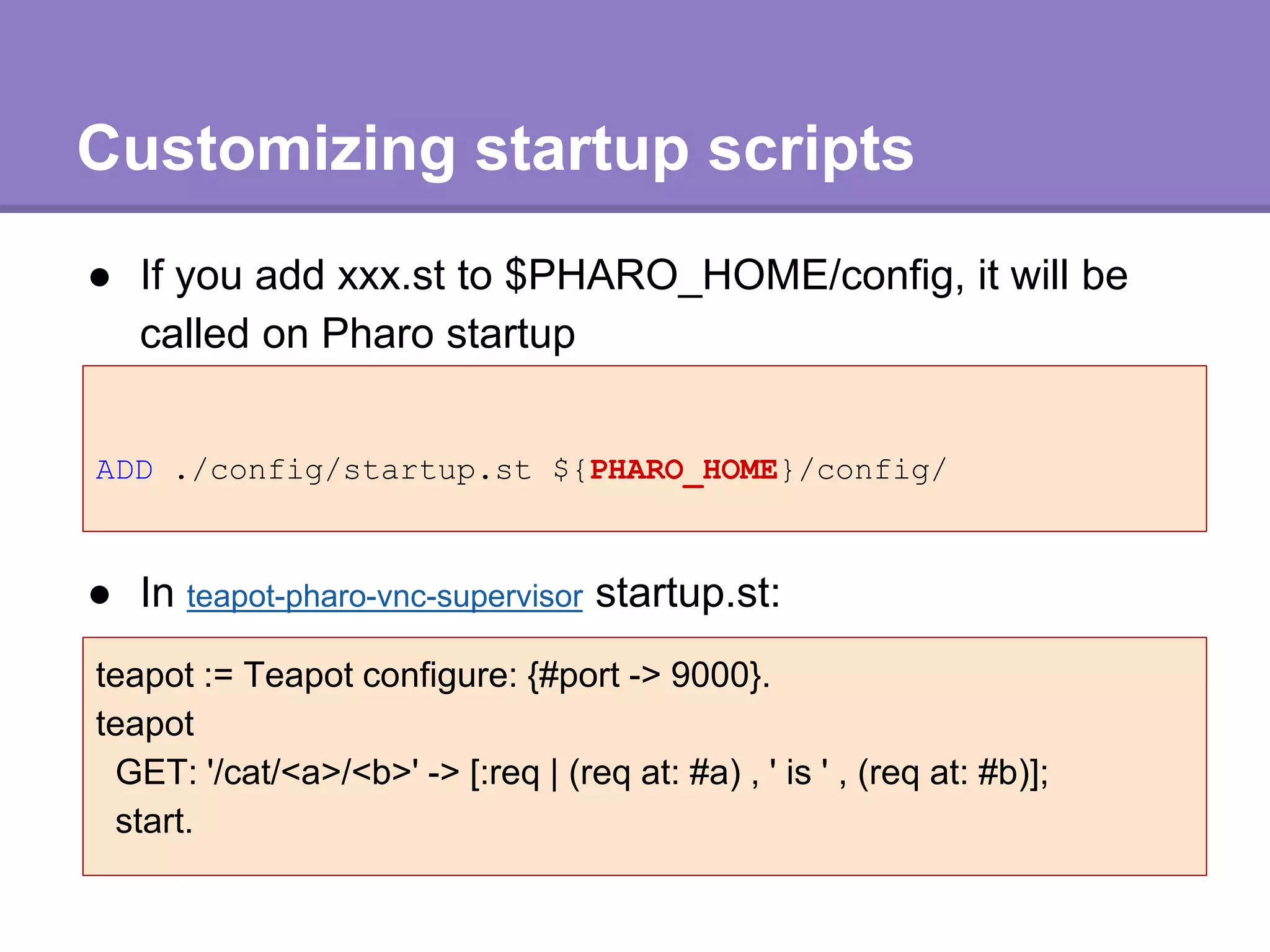 Customizing startup scripts
● If you add xxx.st to $PHARO_HOME/config, it will be
called on Pharo startup
ADD ./config/startup.st ${PHARO_HOME}/config/
● In teapot-pharo-vnc-supervisor startup.st:
teapot := Teapot configure: {#port -> 9000}.
teapot
GET: '/cat/<a>/<b>' -> [:req | (req at: #a) , ' is ' , (req at: #b)];
start.
 