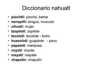 Diccionario nahuatl
•   piochtli: piocha, barba
•   nenepilli: lengua, musculo
•   cihuatl: mujer
•   tzopilotl: zopilote
•   tecolotl: tecolote - buho
•   huexolotl: guajolote - pavo
•   papalotl: mariposa
•   coyotl: coyote
•   mayatl: mayate
•   chapolin: chapulín
 