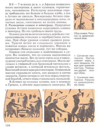 В 8 — 7-м веках до н. э. в Афинах появилось
много мастерских и лавок кузнецов, горшечни­
ков, сапожников. Растущему населению горо­
да требовалось все больше и больше хлеба, а его
в Аттике не хватало. Земледельцы Аттики стра­
дали от малоземелья и неплодородных почв, от
частых засух, сжигавших на полях посевы.
2. Разведение оливок и винограда. Природные
условия Аттики позволяли выращивать оливки
и виноград. Но это требовало много труда.
Оливки росли на вечнозеленых деревьях с ис­
кривленными стволами и серебристыми листь­
ями. При сборе урожая оливки срывали рука­
ми. Т рясти ветви не следовало: упавш ие и
помятые плоды сохли и портились. Иногда их
осторожно сбивали палками, тут же собирая.
Оливки ели солеными и вымоченными в ук­
сусе. Вы помните, что из оливок выдавливали
золотистое масло. Его лучшие сорта шли в пищу,
худшие употреблялись для освещения. Масло на­
ливали в глиняный или бронзовый светильник с
узким носиком, в который вставляли фитиль.
Коптящий огонек едва разгонял мрак . Оливковым
маслом смазывали ожоги, оно входило в состав
лекарств. Греки натирали им тело перед спортив­
ной борьбой, отчего кожа становилась скользкой.
В Аттике на склонах холмов, как и повсюду
в Греции, в обилии выращивали виноград. Из
134
Сбор оливок. Рису­
нок на древнегре­
ческой вазе.
1. Сапожная мас­
терская. Мастер
снимает мерку с
ноги женщины. Ее
муж дает указания
мастеру. Помощ­
ник держит гото­
вую обувь.
2. Кузнечная мас­
терская. Рисунки
на древнегречес­
ких вазах.
 